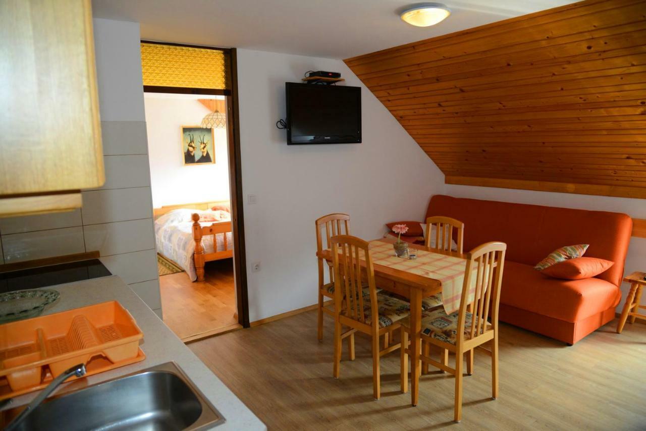 Apartmaji Rabic Bohinj Extérieur photo